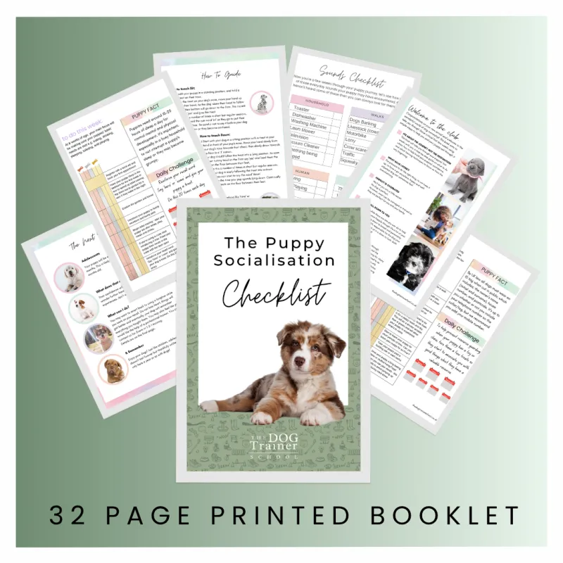 02) The Dog Trainer School Puppy Checklists x 10 (+VAT)