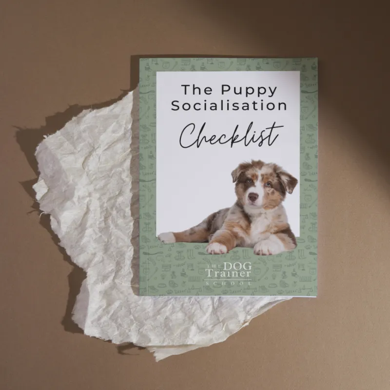 03) Single Puppy Socialisation Checklist (+VAT)