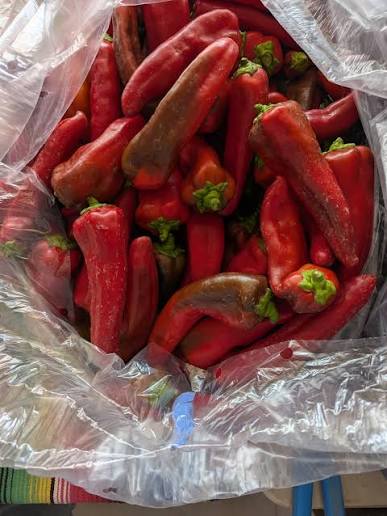 AZ1904 - Mild 🌶️