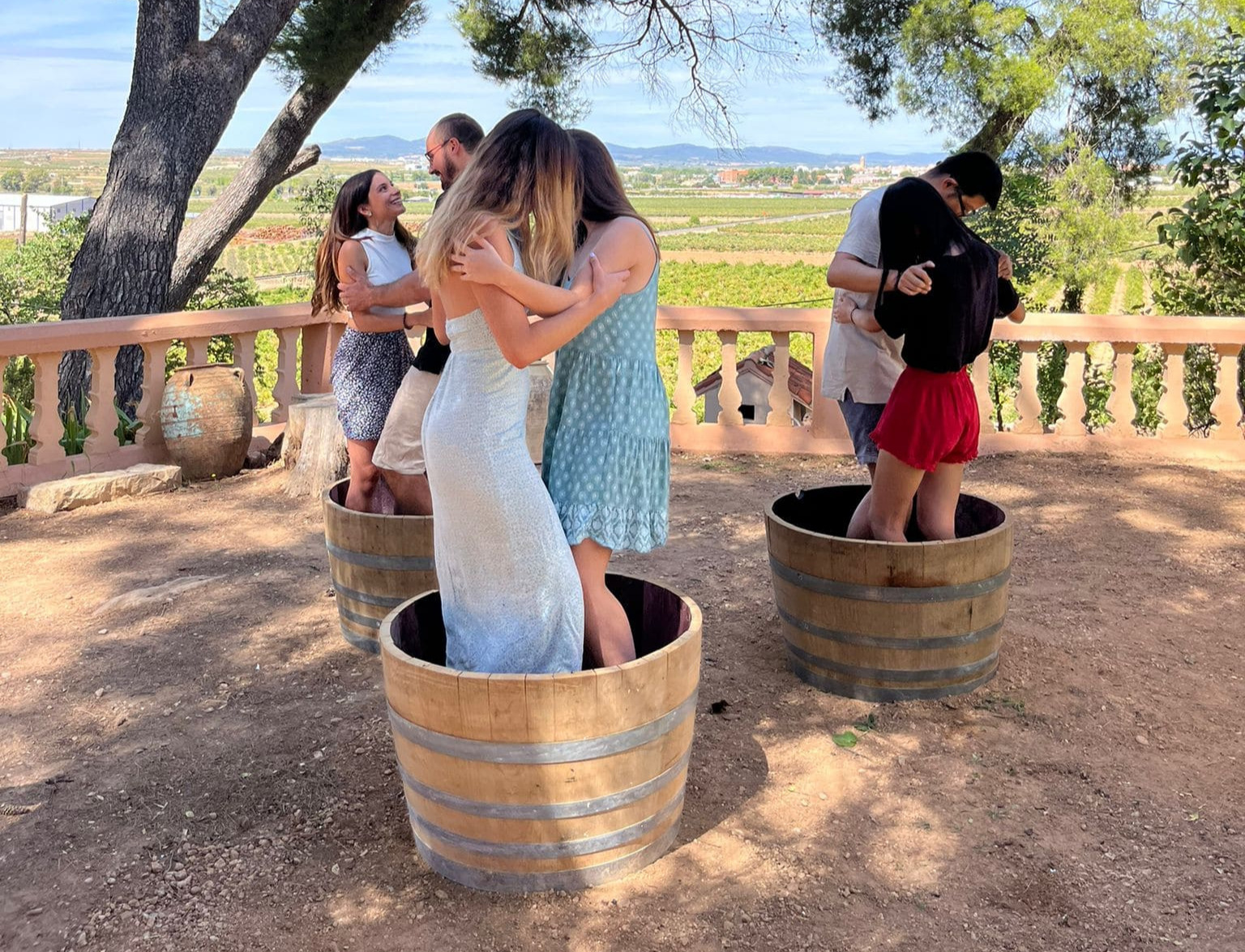 Vendimia & Beyond: A Day of Bobal, Harvest & Wine in Requena