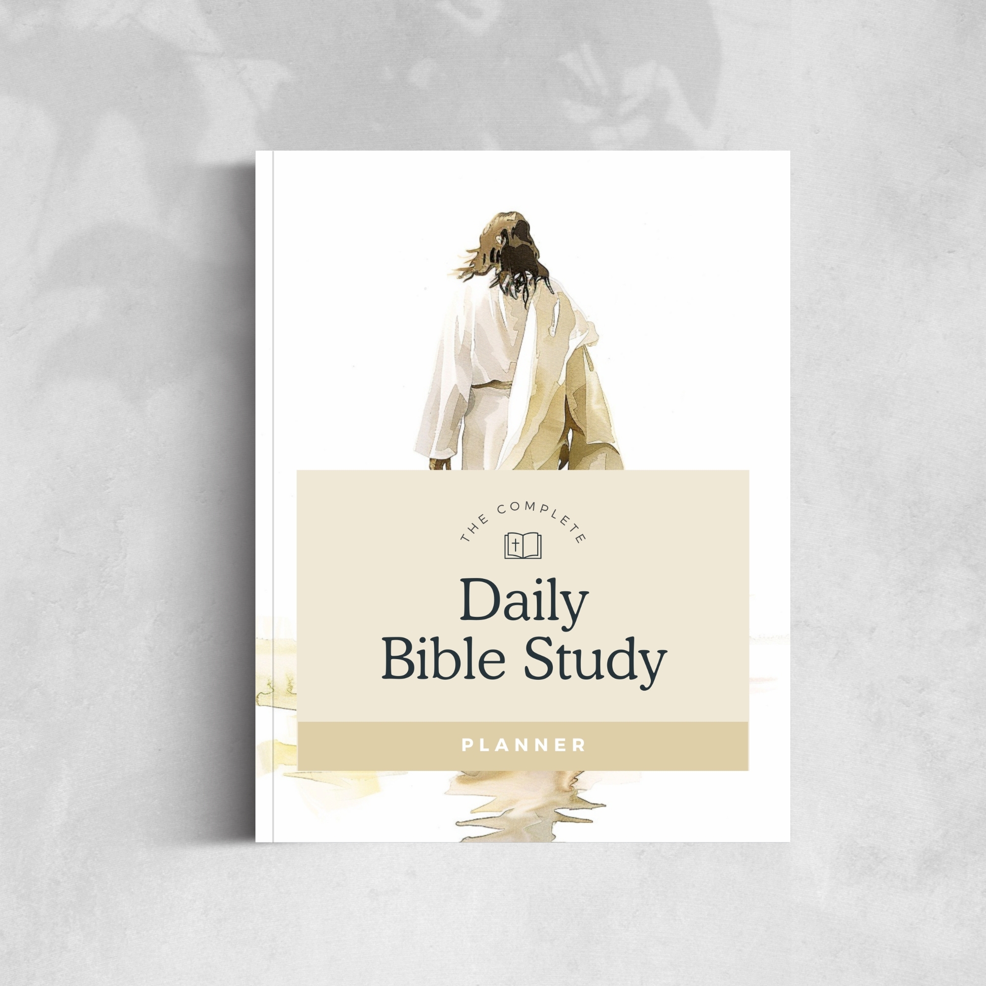 Daily Bible Studay