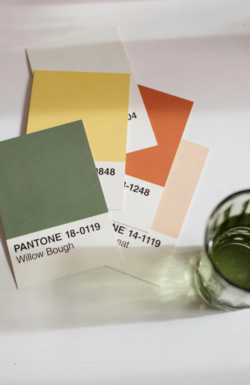 Brand & Design Assests