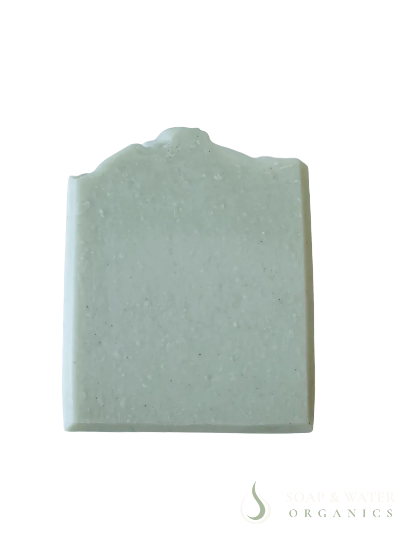 Exfoliating Pumice Bar Soap