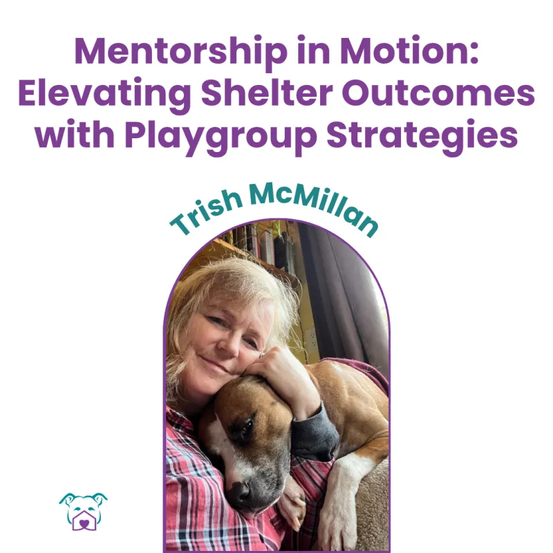Lawless Off Leash - Mentorship in Motion
