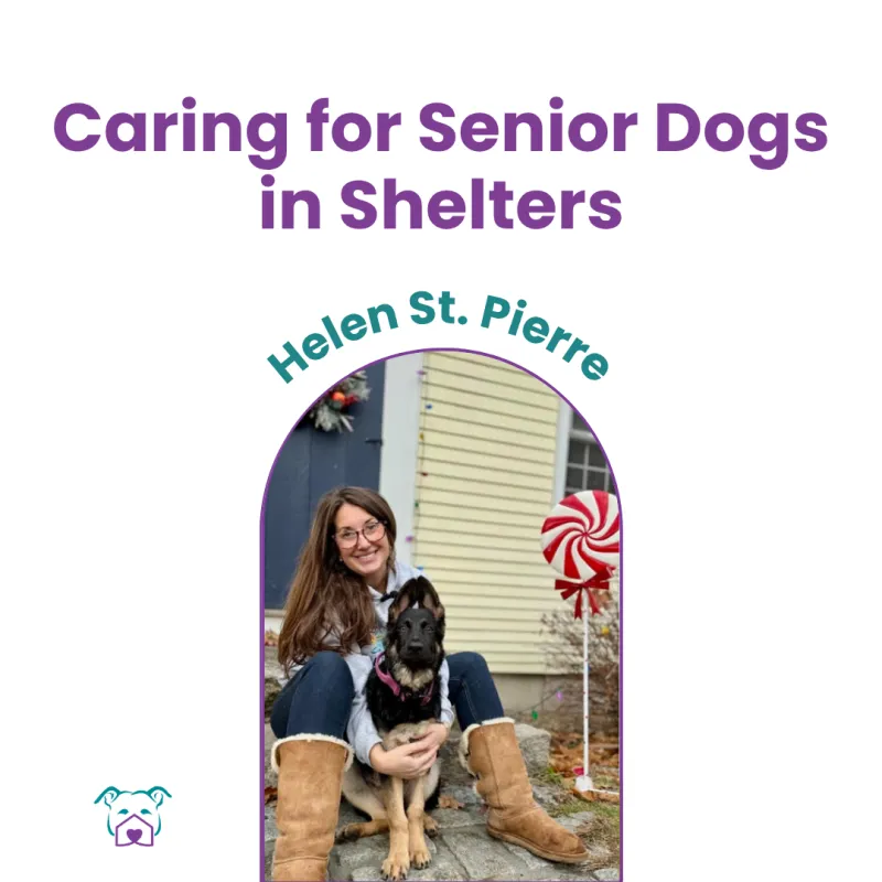 Lawless Off Leash - Caring for Senior Dogs in Shelter
