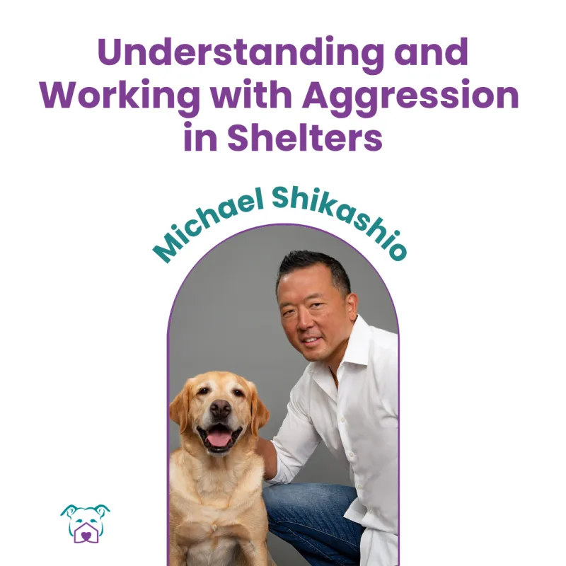 Lawless Off Leash - Understanding and Working with Aggression in Shelters