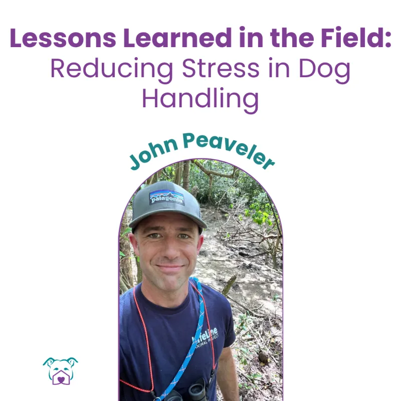 Lawless Off Leash - Lessons Learned in the Field: Safe Shelter Handling