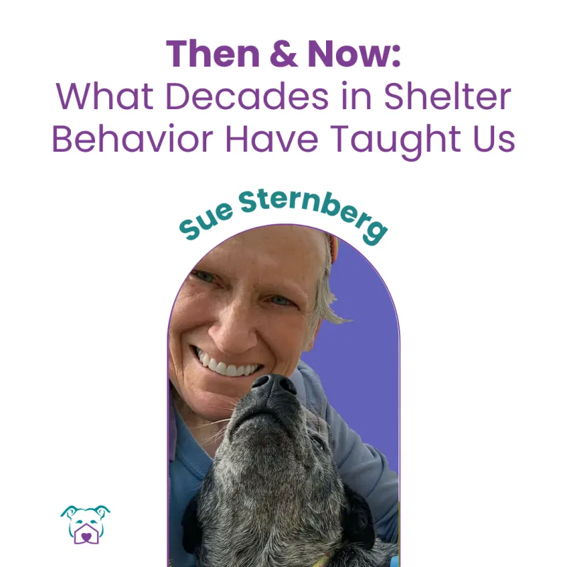 Lawless Off Leash - Then & Now: What Decades in Shelter Behavior have Taught Us