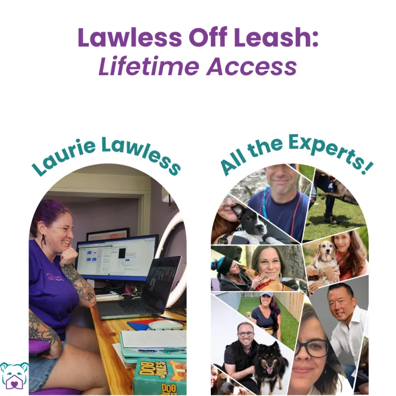 Lawless Off Leash Webinar Series