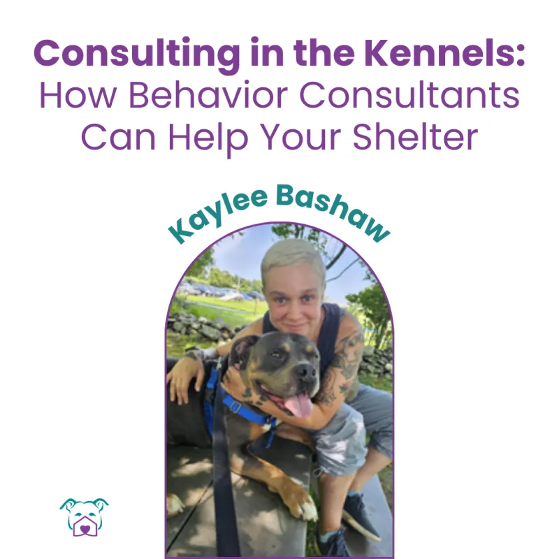 Lawless Off Leash - Consulting in the Kennels: How Behavior Consultants Help Shelters