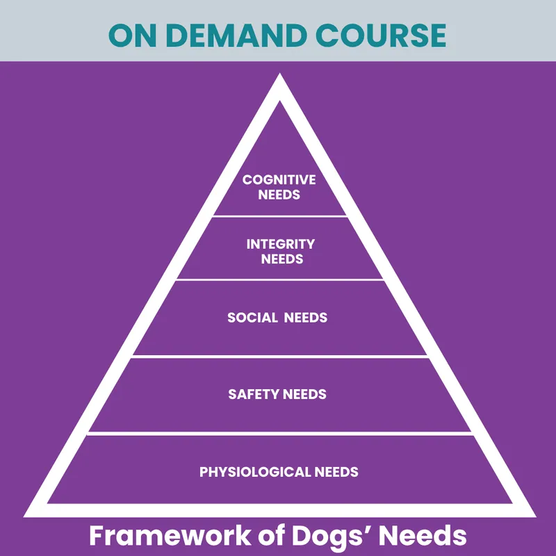 Staff Training Course: Framework of Dogs' Needs