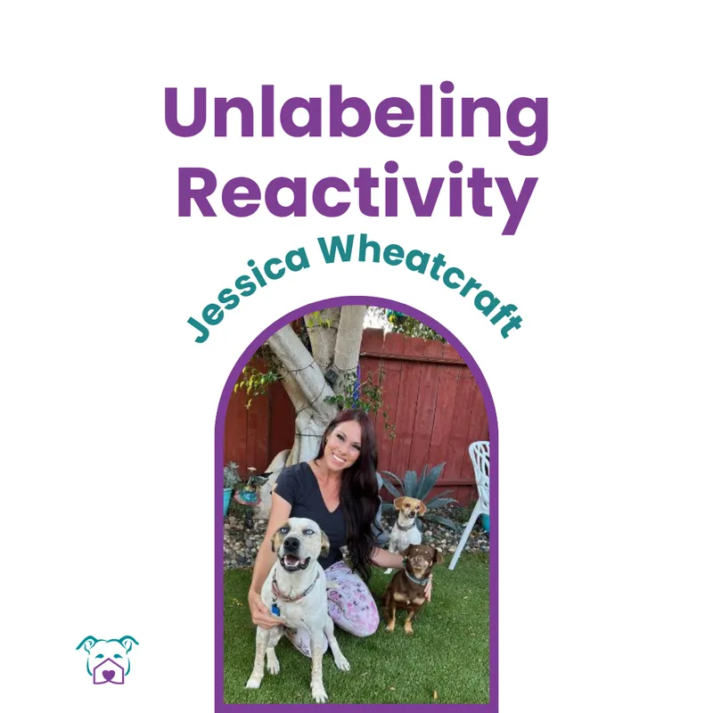Lawless Off Leash - Unlabeling Reactivity in the Shelter Environment