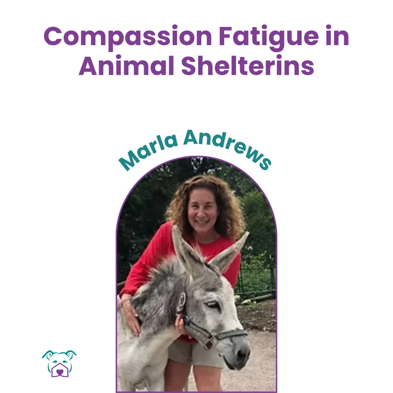 Lawless Off Leash - Compassion Fatigue in Animal Shelters