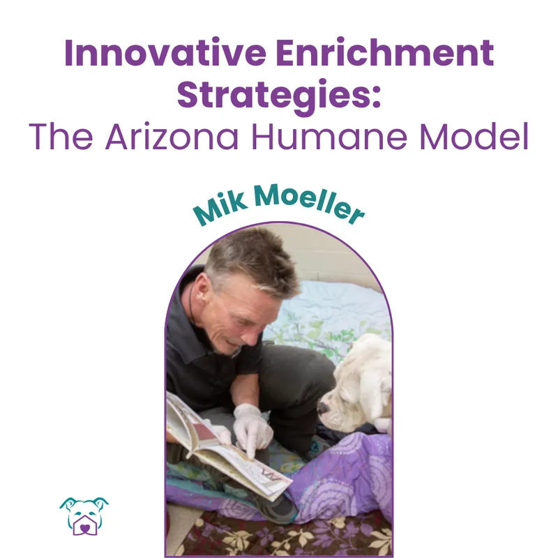 Lawless Off Leash - Innovative Enrichment Strategies