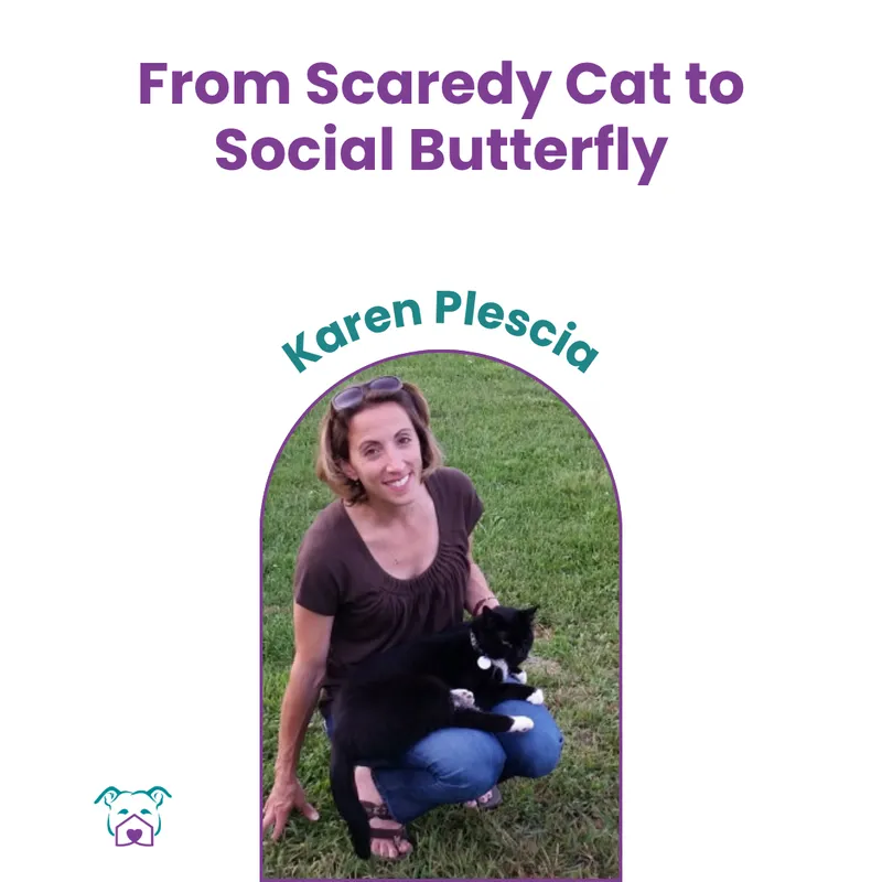 Lawless Off Leash - From Scaredy Cat to Social Butterfly