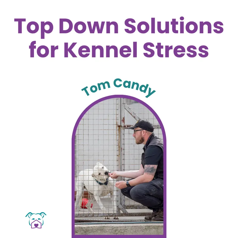 Lawless Off Leash - Top Down Solutions for Addressing Kennel Stress