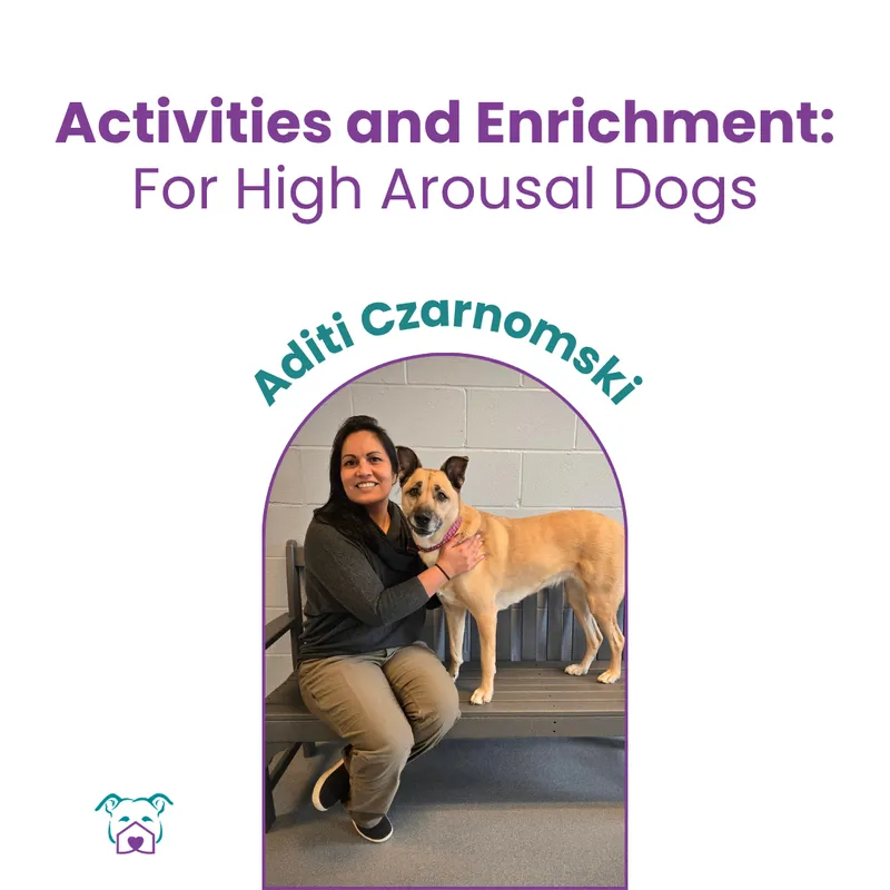 Lawless Off Leash - Activities and Enrichment for High Arousal Dogs