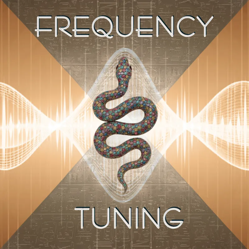 Saturday 12/12 @ 2pm-4pm - Frequency Tuning