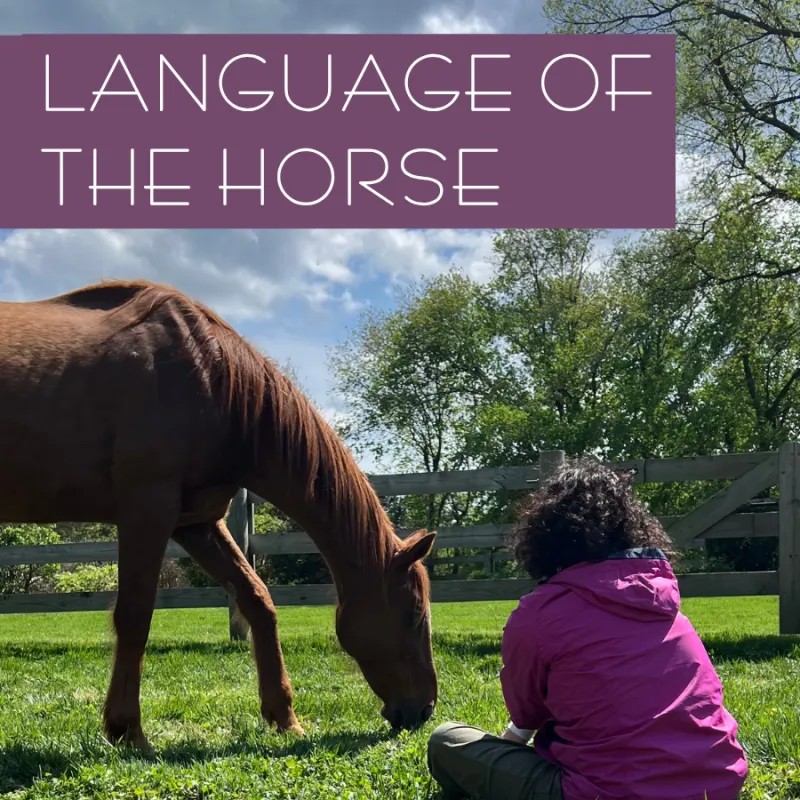 Saturday, 9/12 @ 1-3pm - Language of the Horse