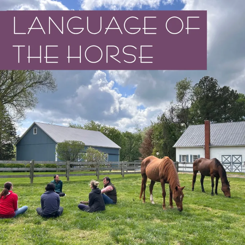 Saturday, 10/10 @ 1-3pm - Language of the Horse