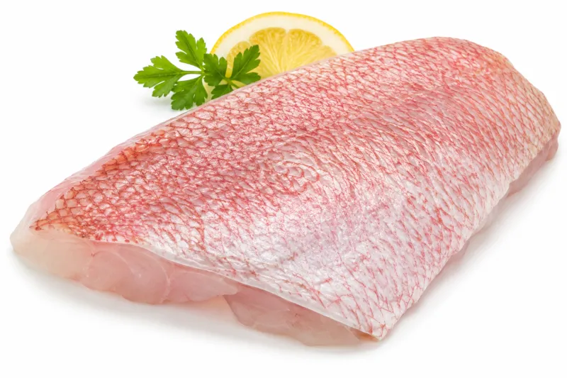 Red Snapper