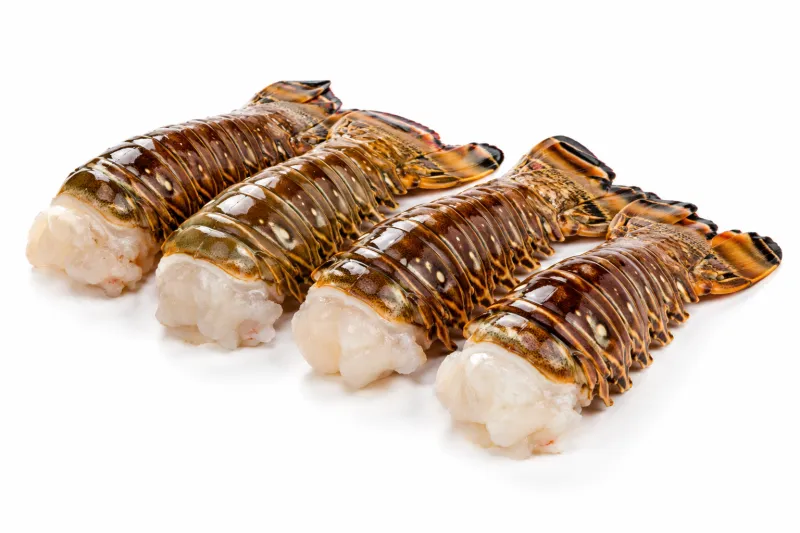 Lobster Tails
