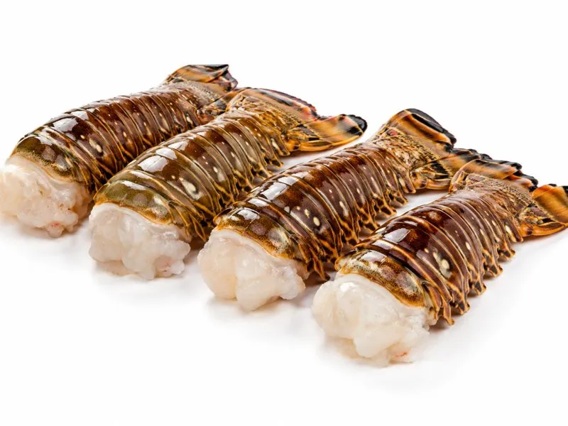 Crunch Special: Lobster Tails (4 × 16 oz)