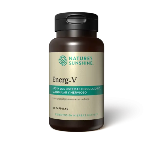 Energ-V