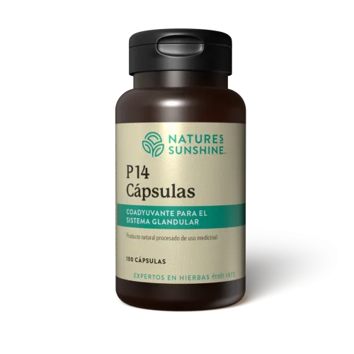 P14 Cápsulas