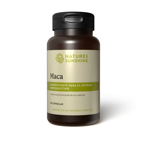 Maca