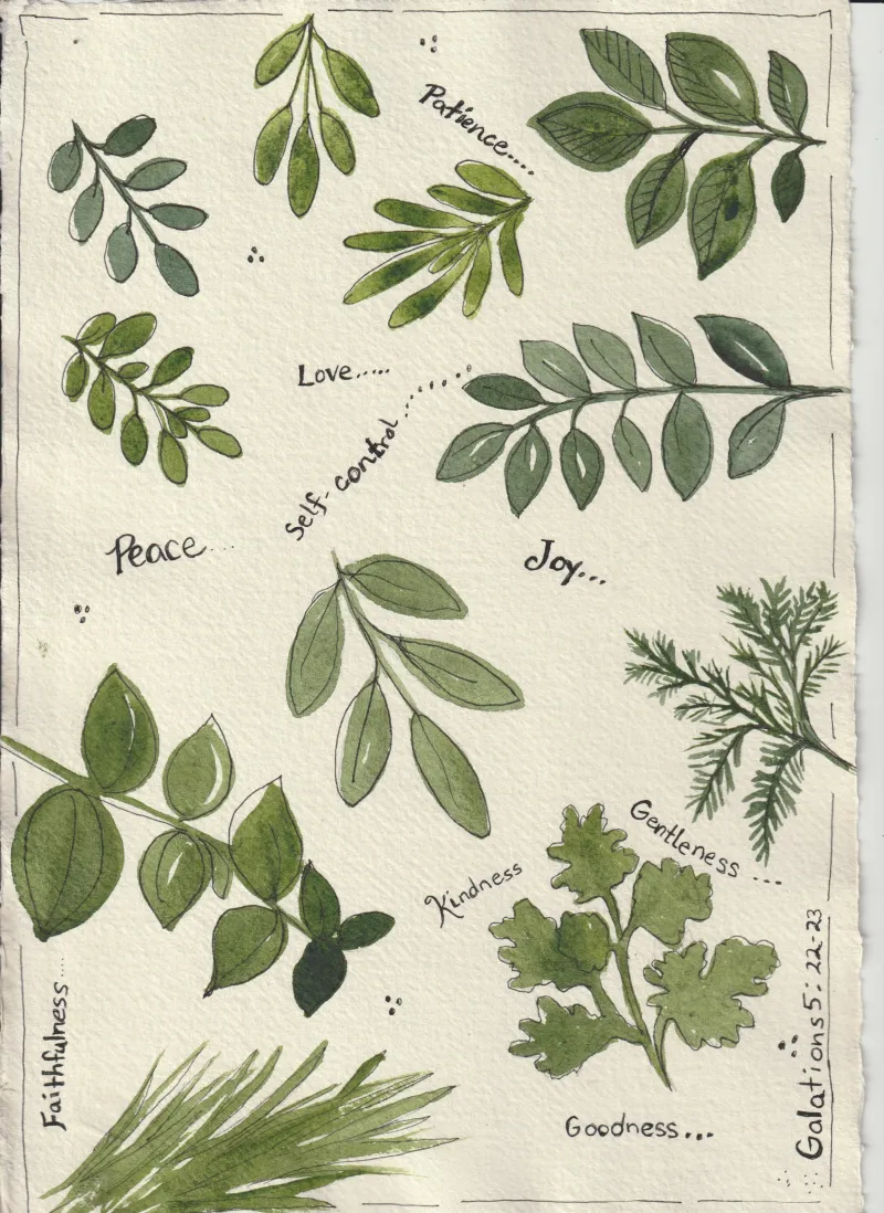 Watercolor Herbs - Fruits of the Spirit