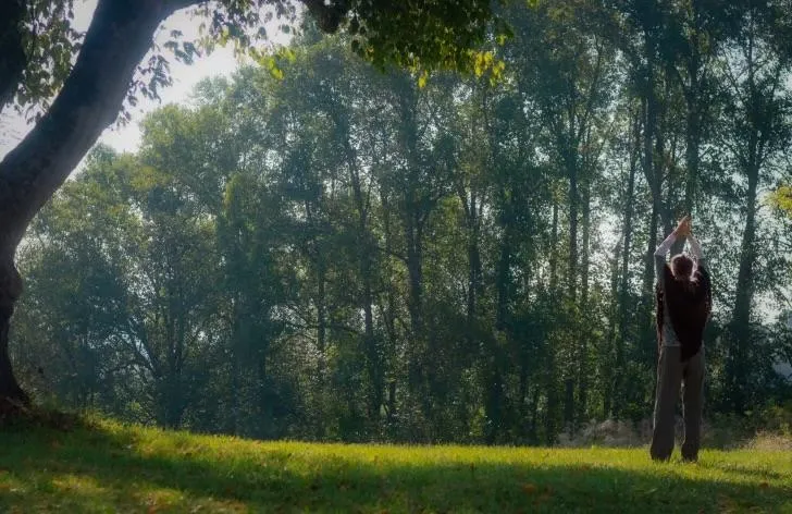 “Wilderness Whispers" Audio Journey 