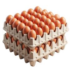 Eggs 700g Bulk – 15 doz x 180