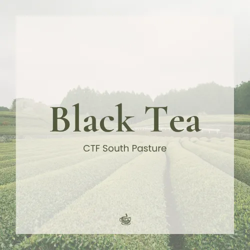 Black Tea - CTF South Pasture