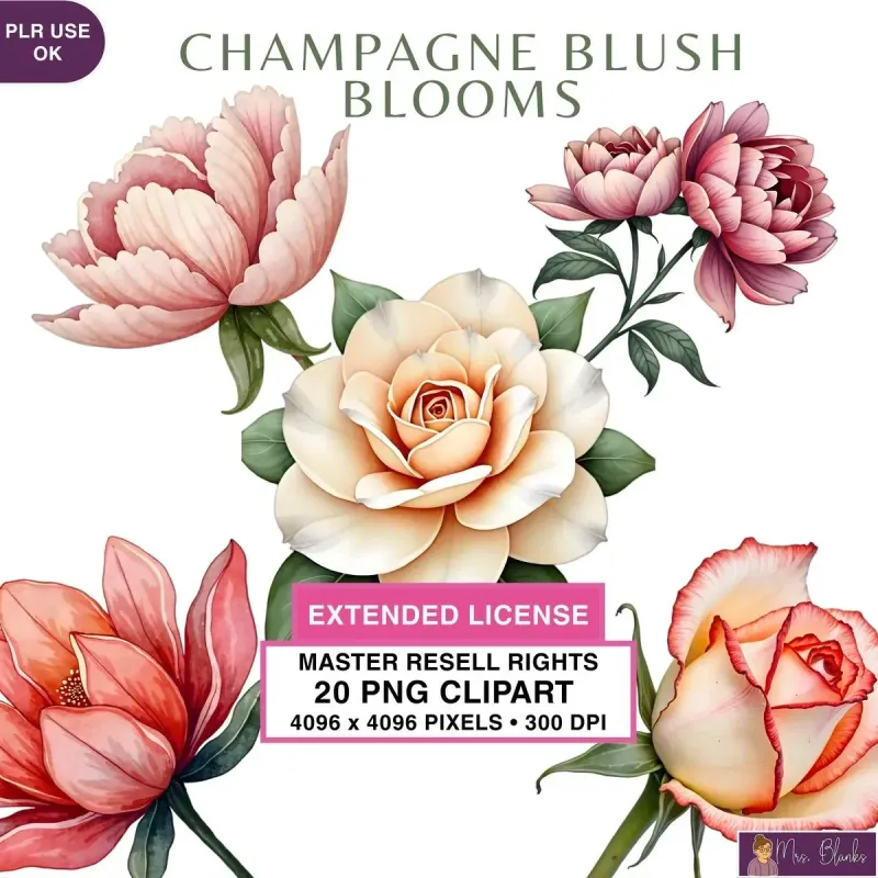 Floral Bloom Clipart PNG - Extended License