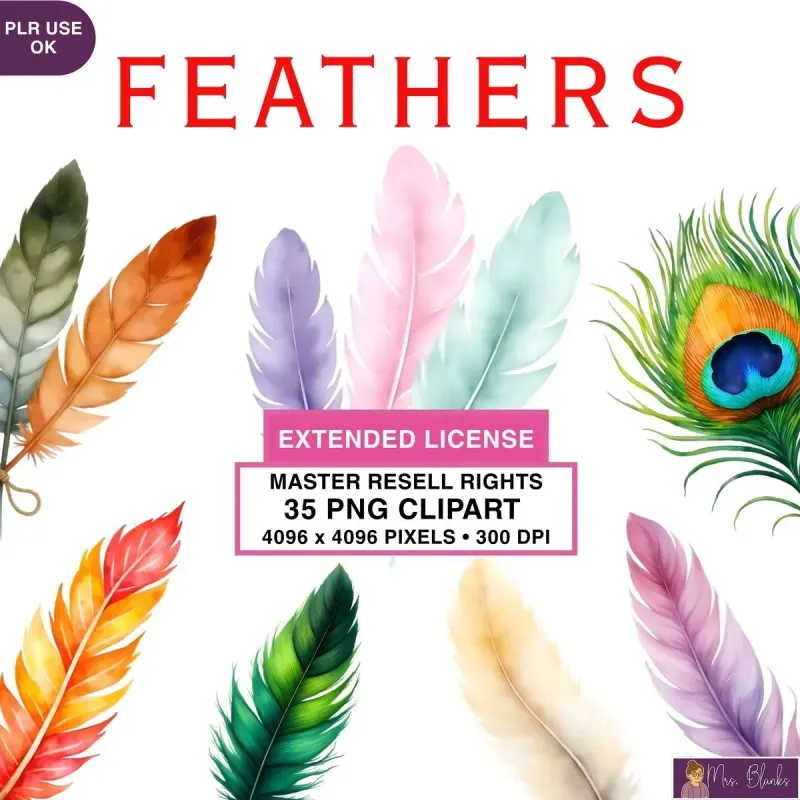 Colorful Feather Clipart PNG - Extended License