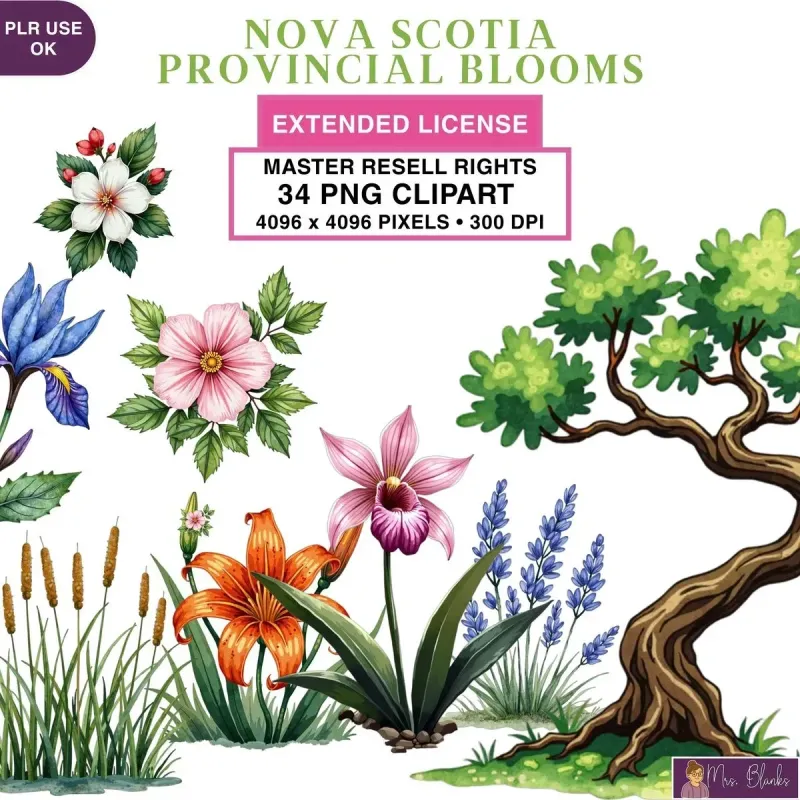 Canadian Wildflower Clipart PNG - Extended License
