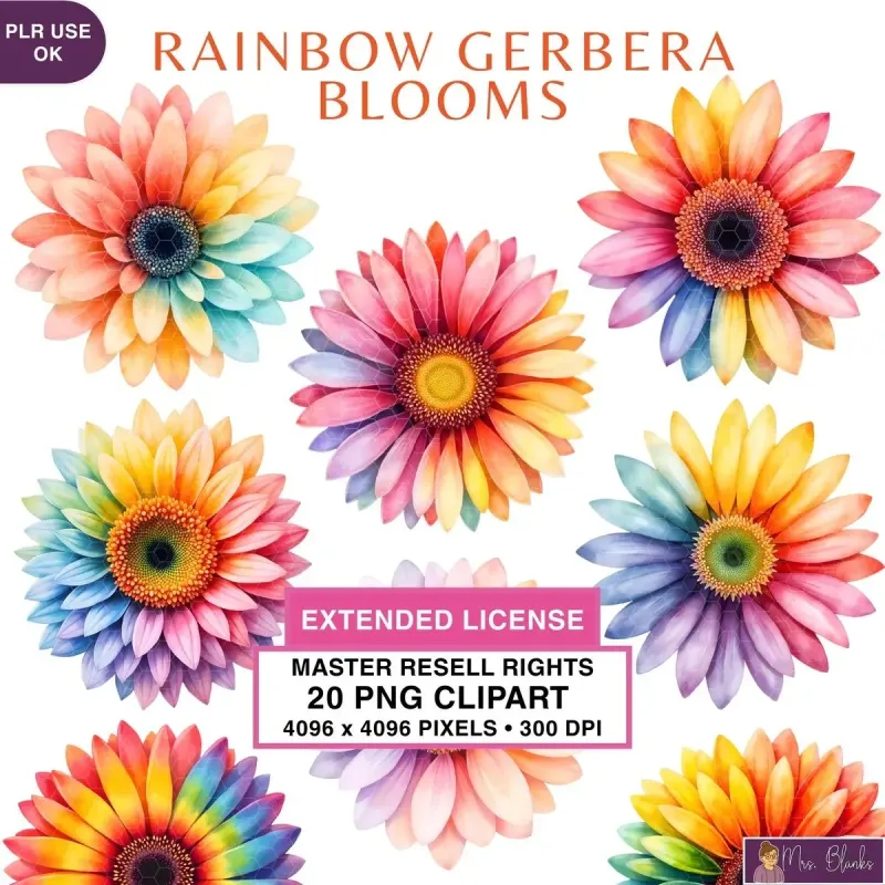 Rainbow Gerbera Flower Clipart PNG - Extended License