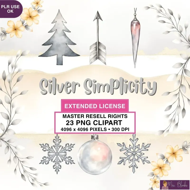 Minimal Silver Winter Clipart PNG - Extended License