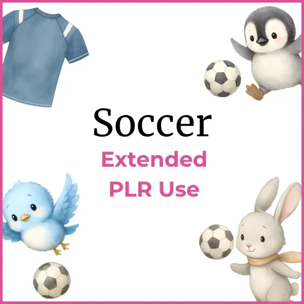 Soccer-Ext