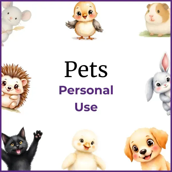Pets-Animals-Personal