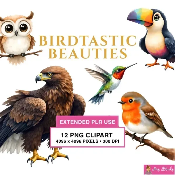 Realistic Bird Collection Clipart PNG - Extended License