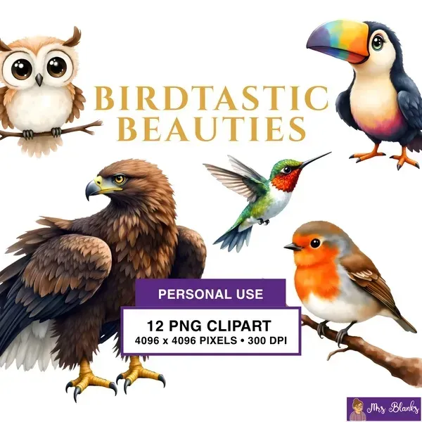 Realistic Bird Collection Clipart PNG - Personal Use License
