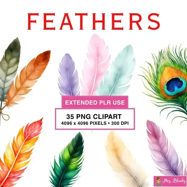 Colorful Feather Clipart PNG - Extended License