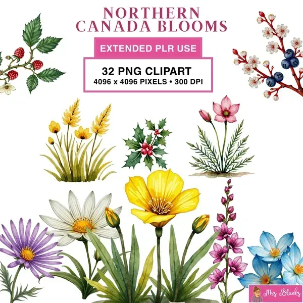 Wildflower Botanical Clipart PNG - Extended License
