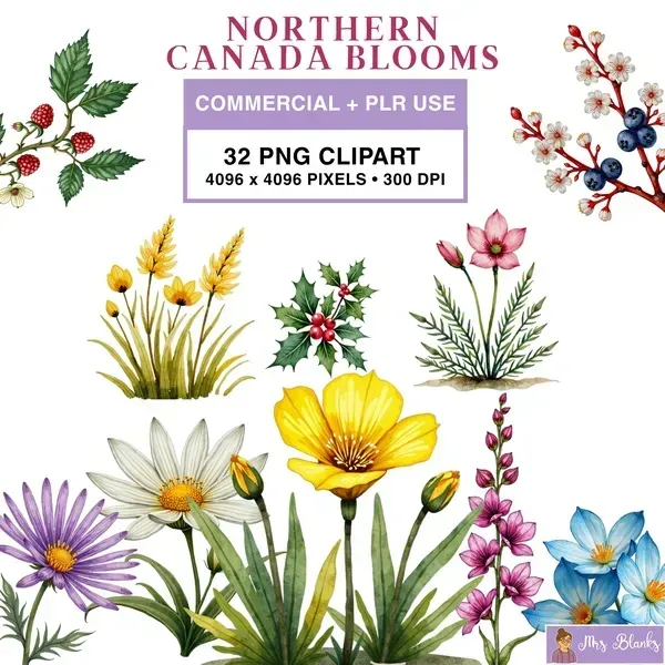 Wildflower Botanical Clipart PNG - Commercial + PLR Use License
