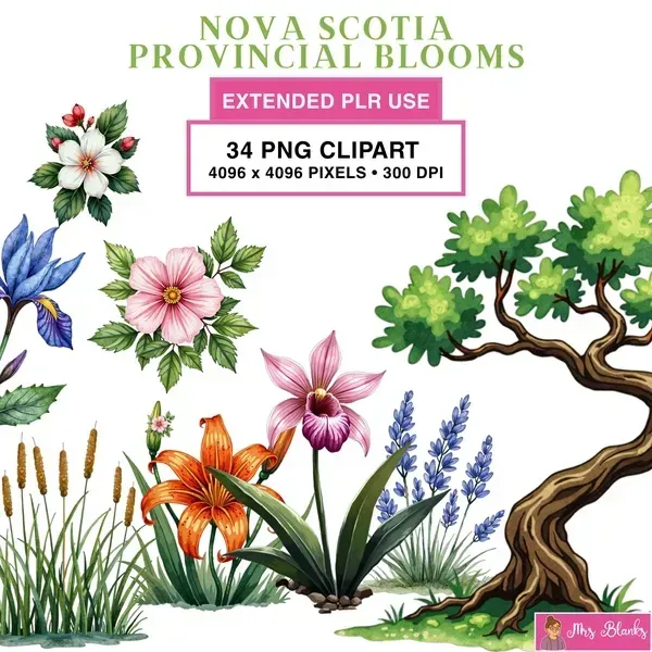 Canadian Wildflower Clipart PNG - Extended License