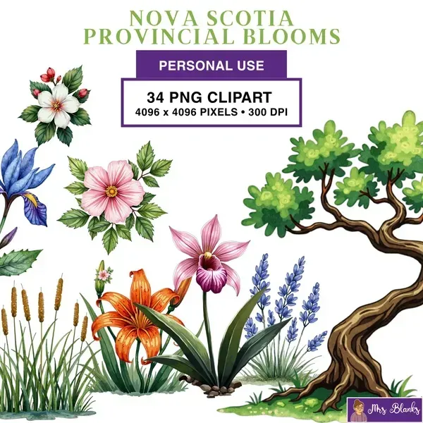 Canadian Wildflower Clipart PNG - Personal Use License