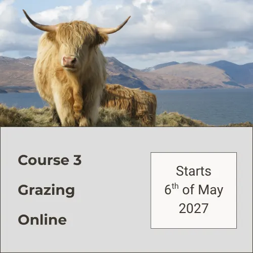 Course 3 Online 733-IE