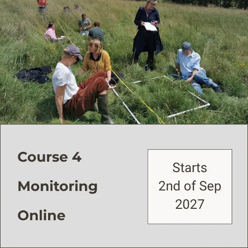 Course 4 Online 734-IE